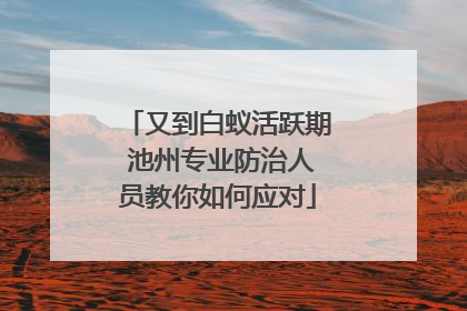 又到白蚁活跃期 池州专业防治人员教你如何应对