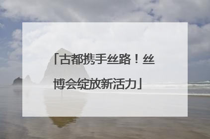 古都携手丝路！丝博会绽放新活力
