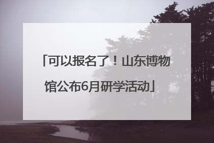 可以报名了！山东博物馆公布6月研学活动