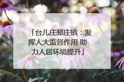 台儿庄邳庄镇：发挥人大监督作用 助力人居环境提升