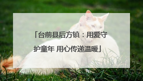 台前县后方镇：用爱守护童年 用心传递温暖