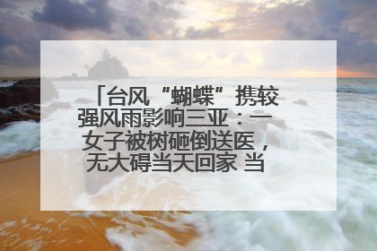台风“蝴蝶”携较强风雨影响三亚：一女子被树砸倒送医，无大碍当天回家 当地已紧急清障