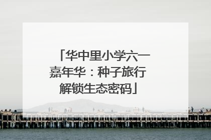 华中里小学六一嘉年华：种子旅行解锁生态密码