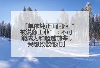 单依纯正面回应“被说像王菲”：不可能成为和超越前辈，我想致敬他们
