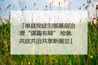 单县党建引领基层治理“谋篇布局” 绘就共建共治共享新图景