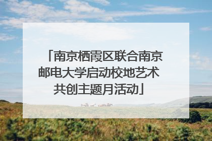 南京栖霞区联合南京邮电大学启动校地艺术共创主题月活动