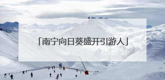 南宁向日葵盛开引游人