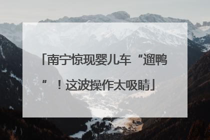 南宁惊现婴儿车“遛鸭”！这波操作太吸睛