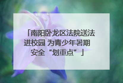 南阳卧龙区法院送法进校园 为青少年暑期安全“划重点”
