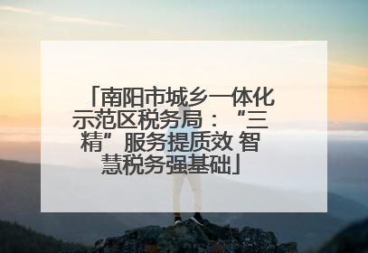 南阳市城乡一体化示范区税务局：“三精”服务提质效 智慧税务强基础