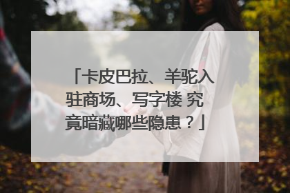卡皮巴拉、羊驼入驻商场、写字楼 究竟暗藏哪些隐患？