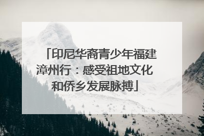 印尼华裔青少年福建漳州行：感受祖地文化和侨乡发展脉搏