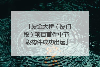 厦金大桥（厦门段）项目首件中节段构件成功出运