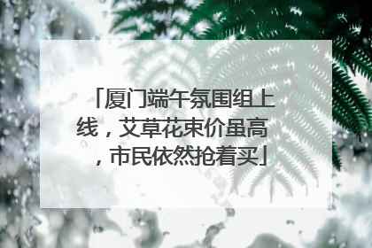 厦门端午氛围组上线，艾草花束价虽高，市民依然抢着买