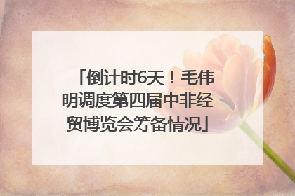 倒计时6天！毛伟明调度第四届中非经贸博览会筹备情况