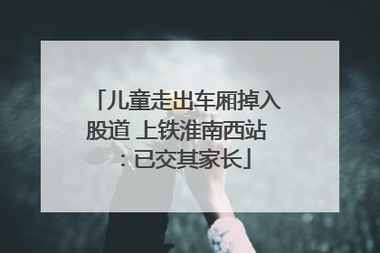 儿童走出车厢掉入股道 上铁淮南西站：已交其家长
