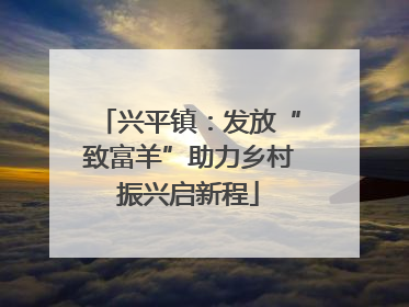 兴平镇：发放“致富羊”助力乡村振兴启新程