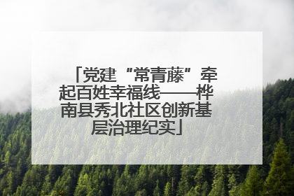 党建“常青藤”牵起百姓幸福线——桦南县秀北社区创新基层治理纪实