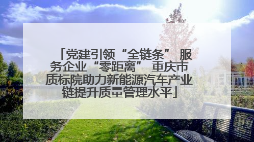 党建引领“全链条” 服务企业“零距离” 重庆市质标院助力新能源汽车产业链提升质量管理水平