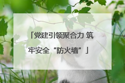 党建引领聚合力 筑牢安全“防火墙”
