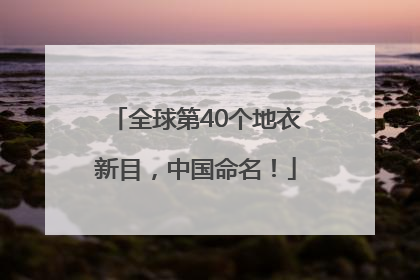 全球第40个地衣新目，中国命名！