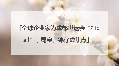 全球企业家为成都世运会“打call”，蜀宝、锦仔成焦点