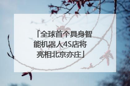 全球首个具身智能机器人4S店将亮相北京亦庄
