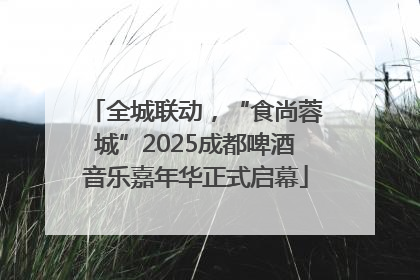 全城联动，“食尚蓉城”2025成都啤酒音乐嘉年华正式启幕