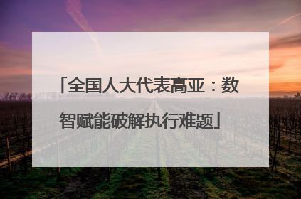 全国人大代表高亚：数智赋能破解执行难题