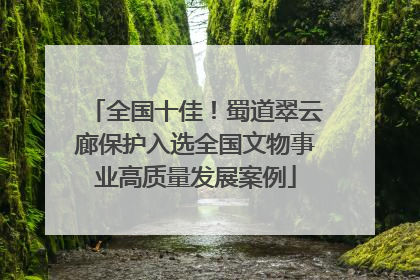 全国十佳！蜀道翠云廊保护入选全国文物事业高质量发展案例