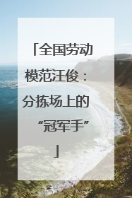 全国劳动模范汪俊：分拣场上的“冠军手”