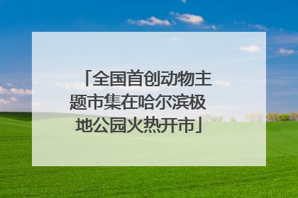 全国首创动物主题市集在哈尔滨极地公园火热开市