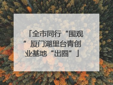全市同行“围观”厦门湖里台青创业基地“出圈”