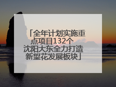 全年计划实施重点项目132个 沈阳大东全力打造新望花发展板块
