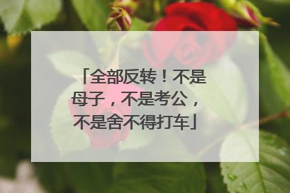 全部反转！不是母子，不是考公，不是舍不得打车