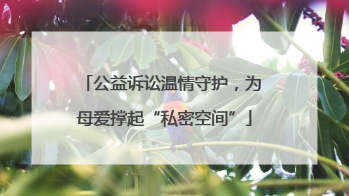 公益诉讼温情守护，为母爱撑起“私密空间”