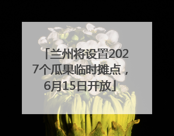 兰州将设置2027个瓜果临时摊点，6月15日开放
