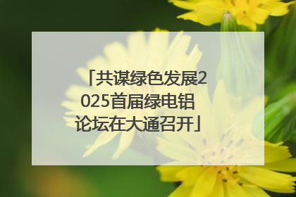 共谋绿色发展2025首届绿电铝论坛在大通召开