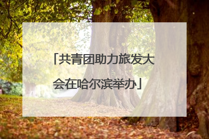 共青团助力旅发大会在哈尔滨举办