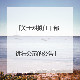 关于对拟任干部进行公示的公告