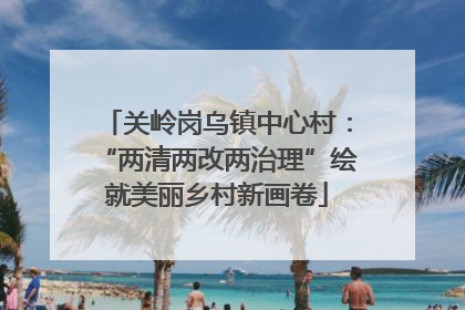 关岭岗乌镇中心村：“两清两改两治理”绘就美丽乡村新画卷