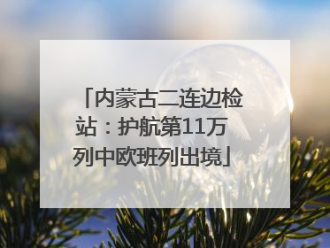 内蒙古二连边检站：护航第11万列中欧班列出境