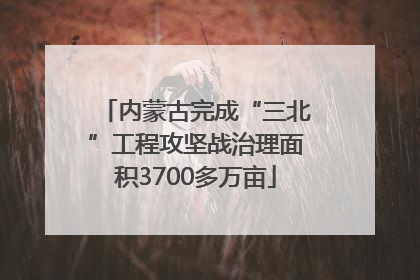 内蒙古完成“三北”工程攻坚战治理面积3700多万亩