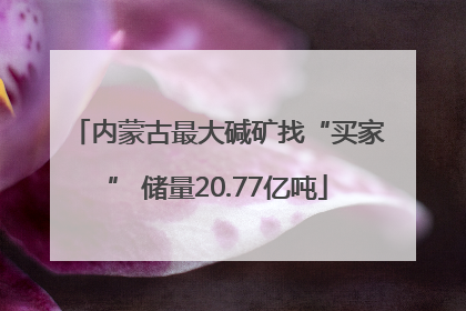 内蒙古最大碱矿找“买家” 储量20.77亿吨