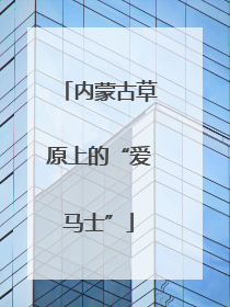 内蒙古草原上的“爱马士”