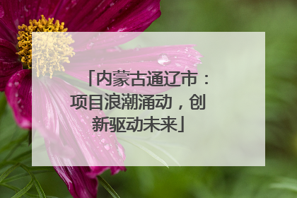 内蒙古通辽市：项目浪潮涌动，创新驱动未来