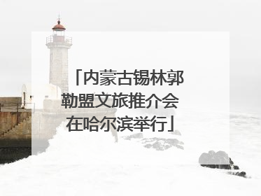 内蒙古锡林郭勒盟文旅推介会在哈尔滨举行
