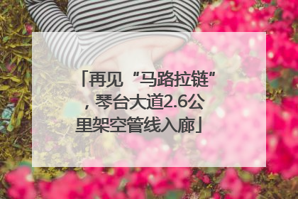 再见“马路拉链”，琴台大道2.6公里架空管线入廊