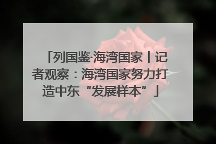 列国鉴·海湾国家丨记者观察：海湾国家努力打造中东“发展样本”