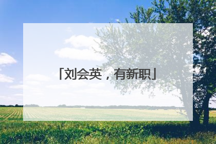 刘会英，有新职